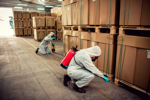 Best Termite Control Services  in Nahunta, GA