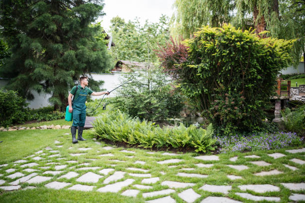 Best Wasp Removal Services  in Nahunta, GA