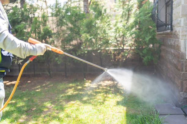 Spider Control Near Me in Nahunta, GA