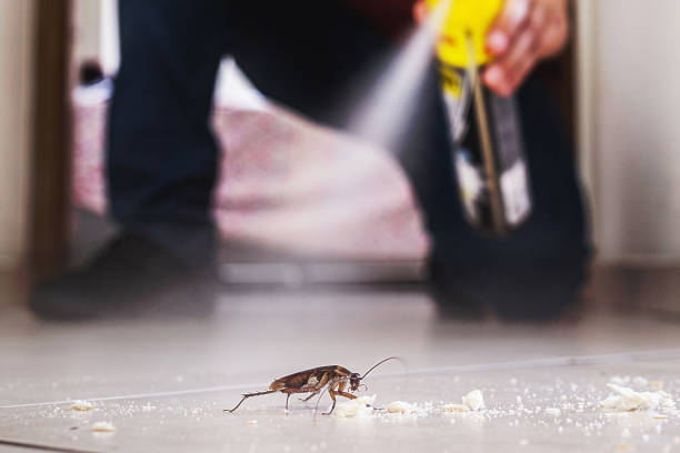 Trusted Nahunta, GA Pest Control Experts