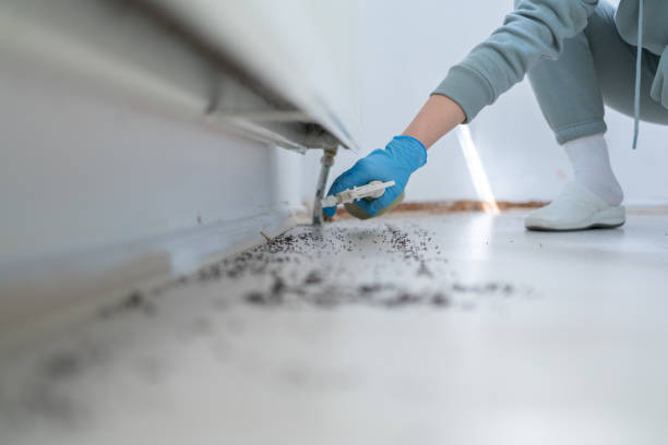 Wildlife Control Services in Nahunta, GA